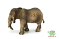 Preview: Schleich Afrika Bundle
